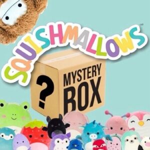 Mystery Squishmallow Box 2X VALUE (Please Read Description)